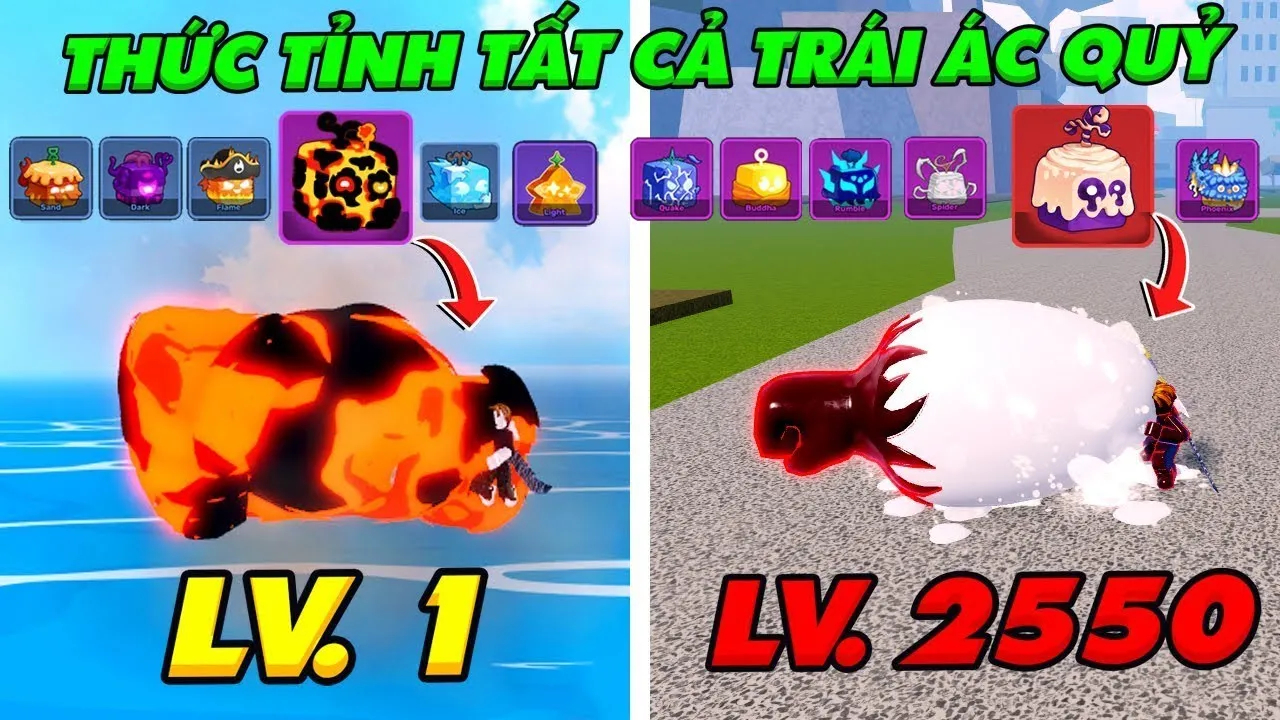 Cày thuê Fun thức tỉnh trái ác quỷ